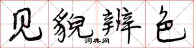 见貌辨色怎么写好看，见貌辨色书法图片