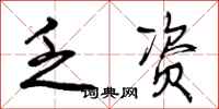 乏资怎么写好看，乏资书法图片