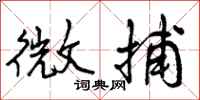微捕怎么写好看，微捕书法图片