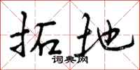 拓地怎么写好看，拓地书法图片