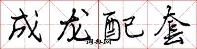 成龙配套怎么写好看，成龙配套书法图片
