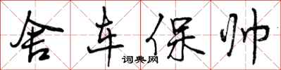 舍车保帅怎么写好看,舍车保帅书法图片