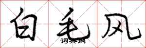 白毛风怎么写好看,白毛风书法图片
