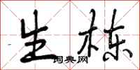 生栋怎么写好看,生栋书法图片