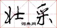 壮采怎么写好看，壮采书法图片