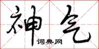 神气怎么写好看,神气书法图片