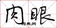 肉眼怎么写好看，肉眼书法图片