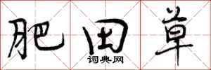 肥田草怎么写好看，肥田草书法图片