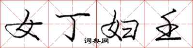 女丁妇壬怎么写好看,女丁妇壬书法图片