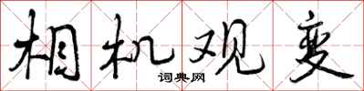 相机观变怎么写好看，相机观变书法图片