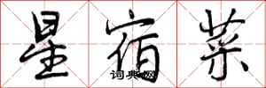 星宿菜怎么写好看,星宿菜书法图片