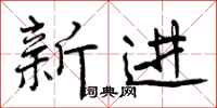 新进怎么写好看，新进书法图片
