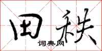 田秩怎么写好看，田秩书法图片