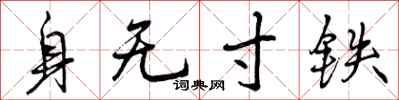 身无寸铁怎么写好看，身无寸铁书法图片