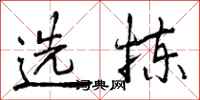 选拣怎么写好看,选拣书法图片