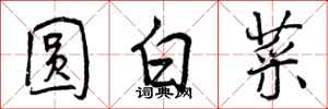 圆白菜怎么写好看，圆白菜书法图片