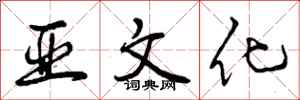 亚文化怎么写好看,亚文化书法图片