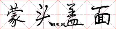蒙头盖面怎么写好看，蒙头盖面书法图片