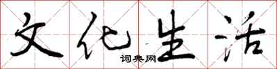 文化生活怎么写好看,文化生活书法图片