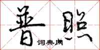 普照怎么写好看,普照书法图片