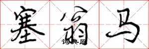 塞翁马怎么写好看，塞翁马书法图片