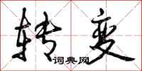 转变怎么写好看，转变书法图片