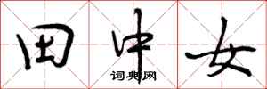 田中女怎么写好看，田中女书法图片
