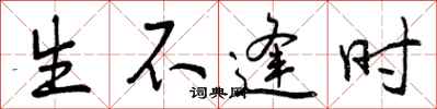 生不逢时怎么写好看，生不逢时书法图片