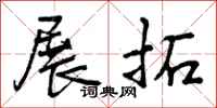 展拓怎么写好看，展拓书法图片