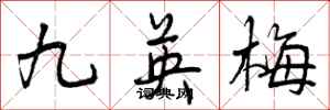 九英梅怎么写好看,九英梅书法图片