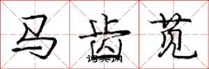 马齿苋怎么写好看,马齿苋书法图片