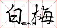白梅怎么写好看，白梅书法图片