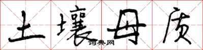 土壤母质怎么写好看，土壤母质书法图片
