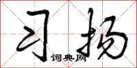 习扬怎么写好看，习扬书法图片
