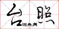 台照怎么写好看,台照书法图片