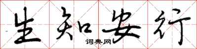 生知安行怎么写好看，生知安行书法图片