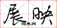 展映怎么写好看,展映书法图片