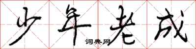 少年老成怎么写好看，少年老成书法图片