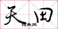 天田怎么写好看，天田书法图片