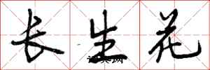 长生花怎么写好看，长生花书法图片