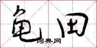 龟田怎么写好看,龟田书法图片