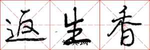 返生香怎么写好看,返生香书法图片