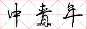 中青年怎么写好看，中青年书法图片