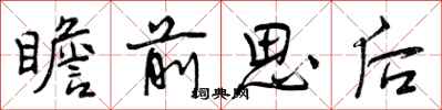 瞻前思后怎么写好看,瞻前思后书法图片