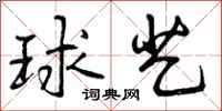 球艺怎么写好看,球艺书法图片