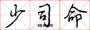 少司命怎么写好看，少司命书法图片