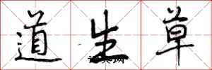 道生草怎么写好看，道生草书法图片