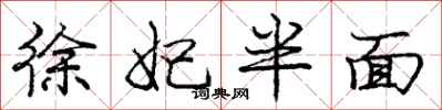 徐妃半面怎么写好看，徐妃半面书法图片