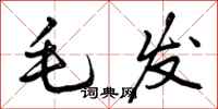 毛发怎么写好看,毛发书法图片