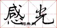 感光怎么写好看，感光书法图片